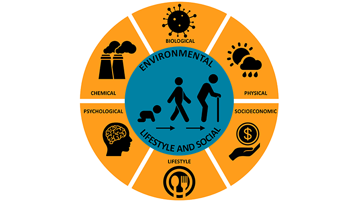 Circular diagram of the major exposome factors over a person&rsquo;s lifetime.