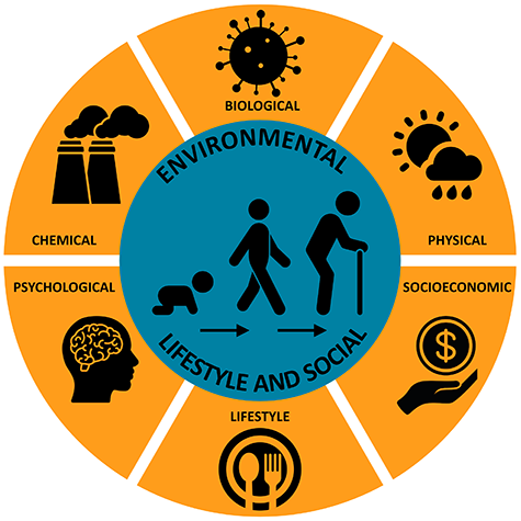 Circular diagram of the major exposome factors over a person&rsquo;s lifetime.