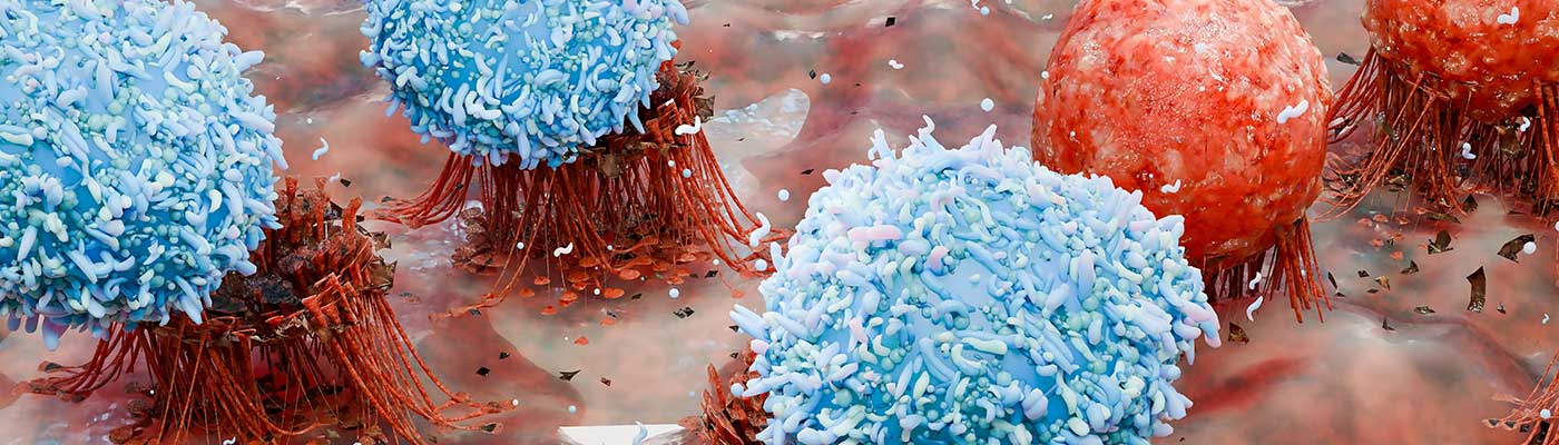 An illustration of the body's immune response to a viral infection.